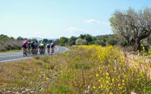 mallorca radtouren alcudia,Bicycle Holidays