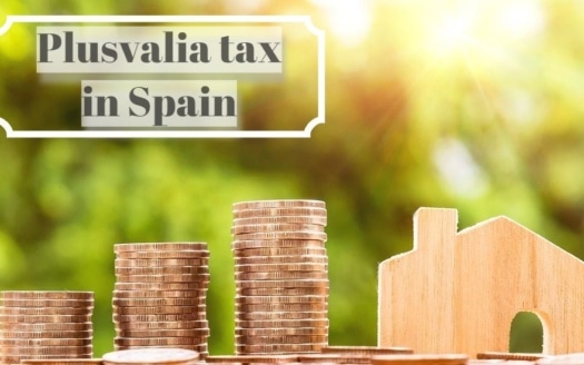 plus valia,Steuer,Wertzuwachssteuer,Armin Reichmann