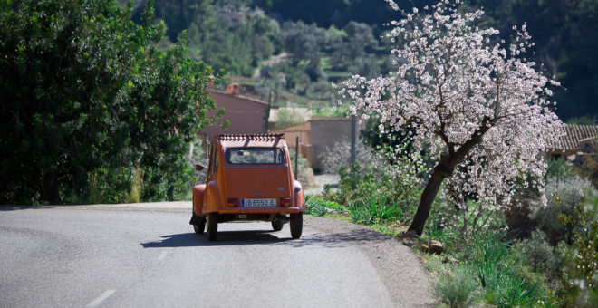 inmobiliaria calvia,inmobiliaria mallorca,propiedades en calvia,finca en venta calvia,inmobiliaria es capdella,villa en venta en calvia,calvia propiedades en venta,es capdella propiedades en venta,Propiedades en venta Calvia,villa en venta Calvia,mallorca magazin,finca en venta mallorca,propiedades de lujo Calvia,casa en venta Calvia,apartamiento Calvia,propiedades en venta mallorca,villa en venta mallorca