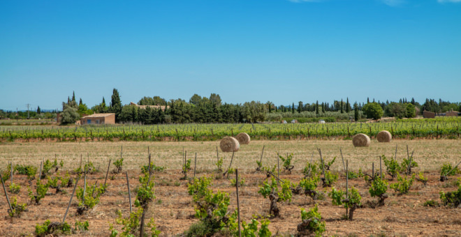 Propiedades en venta Binissalem,inmobiliaria Binissalem,inmobiliaria mallorca,villa en venta Binissalem,mallorca magazin,finca en venta mallorca,finca en venta Binissalem,propiedades de lujo Binissalem,casa en venta Binissalem,apartamiento Binissalem,propiedades en venta mallorca,villa en venta mallorca