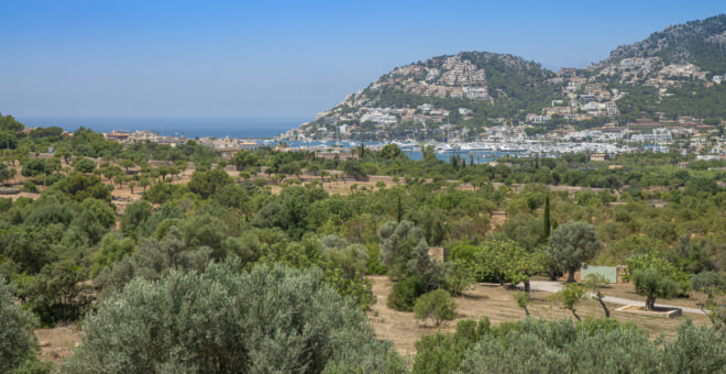 Propiedades en venta Puerto de Andratx,inmobiliaria Puerto de Andratx,inmobiliaria mallorca,villa en venta Puerto de Andratx,mallorca magazin,finca en venta mallorca,finca en venta Puerto de Andratx,propiedades de lujo Puerto de Andratx,casa en venta Puerto de Andratx,apartamiento Puerto de Andratx,propiedades en venta mallorca,villa en venta mallorca