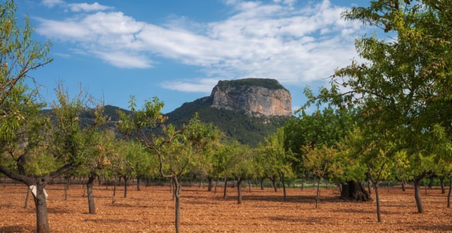 Propiedades en venta Alaro,inmobiliaria Alaro,inmobiliaria mallorca,villa en venta Alaro,mallorca magazin,finca en venta mallorca,finca en venta Alaro,propiedades de lujo Alaro,casa en venta Alaro,apartamiento Alaro,propiedades en venta mallorca,villa en venta mallorca