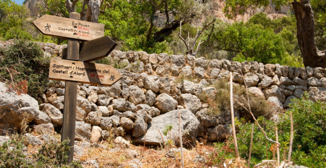 Propiedades en venta Alaro,inmobiliaria Alaro,inmobiliaria mallorca,villa en venta Alaro,mallorca magazin,finca en venta mallorca,finca en venta Alaro,propiedades de lujo Alaro,casa en venta Alaro,apartamiento Alaro,propiedades en venta mallorca,villa en venta mallorca