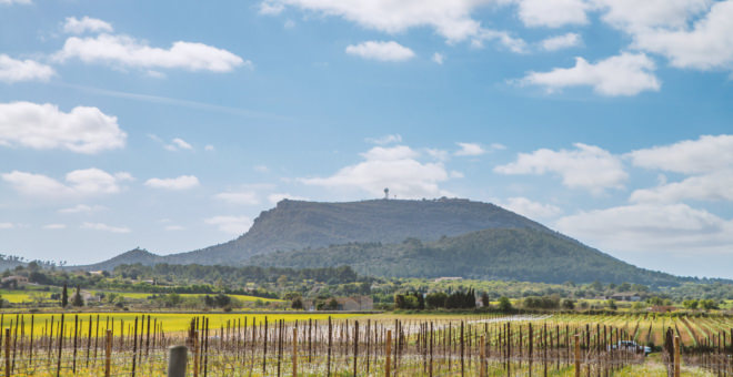 Propiedades en venta Binissalem,inmobiliaria Binissalem,inmobiliaria mallorca,villa en venta Binissalem,mallorca magazin,finca en venta mallorca,finca en venta Binissalem,propiedades de lujo Binissalem,casa en venta Binissalem,apartamiento Binissalem,propiedades en venta mallorca,villa en venta mallorca