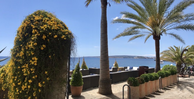 Propiedades en venta Bendinat,inmobiliaria Bendinat,inmobiliaria mallorca,villa en venta Bendinat,mallorca magazin,finca en venta mallorca,finca en venta Bendinat,propiedades de lujo Bendinat,casa en venta Bendinat,apartamiento Bendinat,propiedades en venta mallorca,villa en venta mallorca