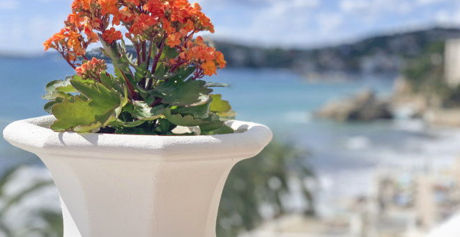 inmobiliaria mallorca,propiedades en venta mallorca,propiedades san agustin,propiedades cala mayor en venta,piso san agustin,piso cala mayor,Propiedades en venta Cala Mayor,inmobiliaria Cala Mayor,villa en venta Cala Mayor,mallorca magazin,finca en venta mallorca,finca en venta Cala Mayor,propiedades de lujo Cala Mayor,casa en venta Cala Mayor,apartamiento Cala Mayor,villa en venta mallorca