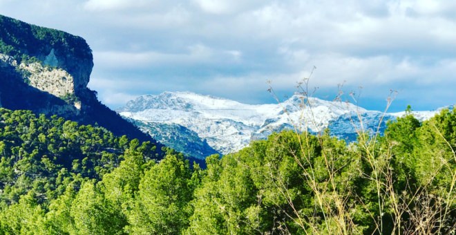 Propiedades en venta Alaro,inmobiliaria Alaro,inmobiliaria mallorca,villa en venta Alaro,mallorca magazin,finca en venta mallorca,finca en venta Alaro,propiedades de lujo Alaro,casa en venta Alaro,apartamiento Alaro,propiedades en venta mallorca,villa en venta mallorca