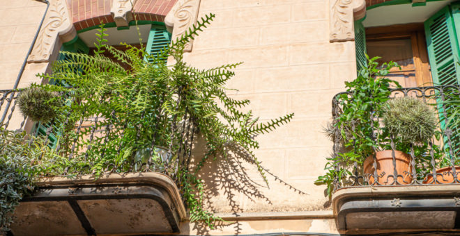 Propiedades en venta Llucmajor,inmobiliaria Llucmajor,inmobiliaria mallorca,villa en venta Llucmajor,mallorca magazin,finca en venta mallorca,finca en venta Llucmajor,propiedades de lujo Llucmajor,casa en venta Llucmajor,apartamiento Llucmajor,propiedades en venta mallorca,villa en venta mallorca