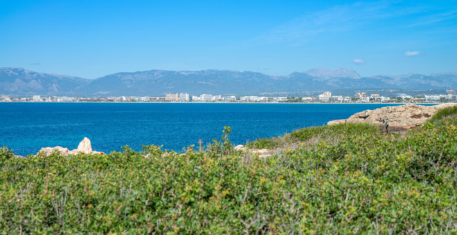 Propiedades en venta Llucmajor,inmobiliaria Llucmajor,inmobiliaria mallorca,villa en venta Llucmajor,mallorca magazin,finca en venta mallorca,finca en venta Llucmajor,propiedades de lujo Llucmajor,casa en venta Llucmajor,apartamiento Llucmajor,propiedades en venta mallorca,villa en venta mallorca