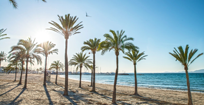 Propiedades en venta Playa de Palma,inmobiliaria Playa de Palma,inmobiliaria mallorca,villa en venta Playa de Palma,mallorca magazin,finca en venta mallorca,finca en venta Playa de Palma,propiedades de lujo Playa de Palma,casa en venta Playa de Palma,apartamiento Playa de Palma,propiedades en venta mallorca,villa en venta mallorca