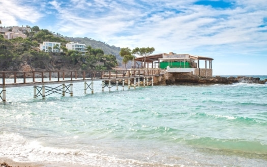 speisefische mallorca