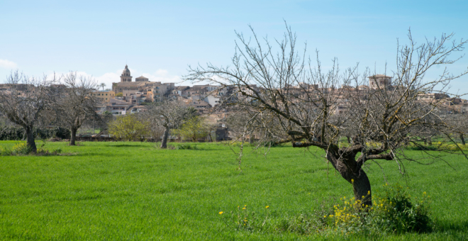 immobilien montuiri,finca mallorca kaufen,haus kaufen Montuiri,luxusimmobilien Montuiri,villa Montuiri,Montuiri,villa kaufen Montuiri,immobilien mallorca,haus kaufen mallorca,villa kaufen mallorca,finca kaufen mallorca,immobilienmakler mallorca