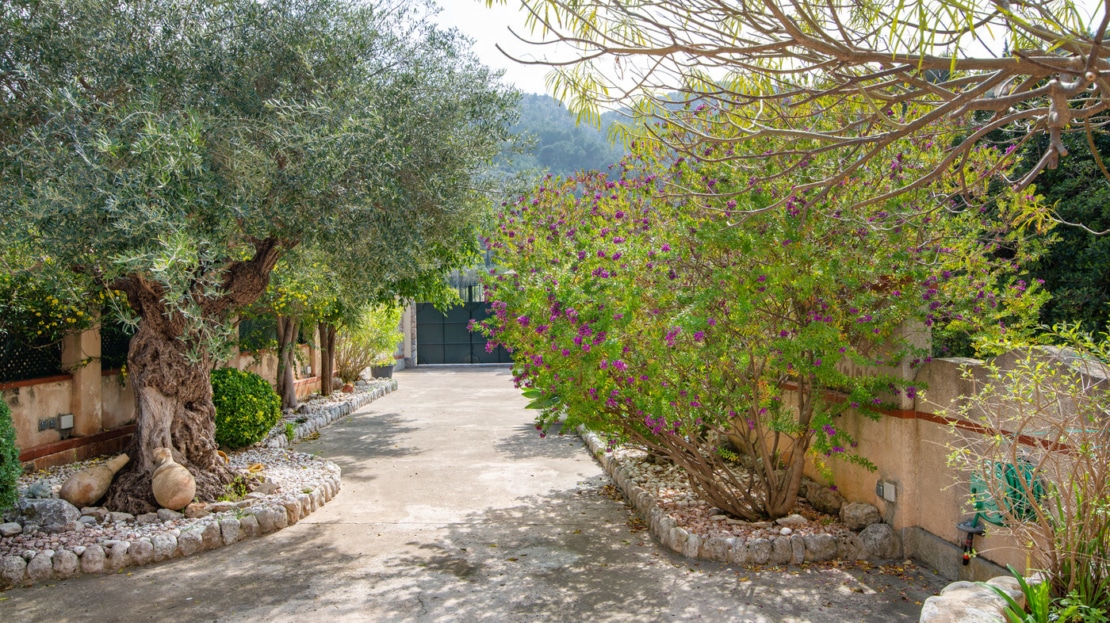 V-2742, Port de Soller