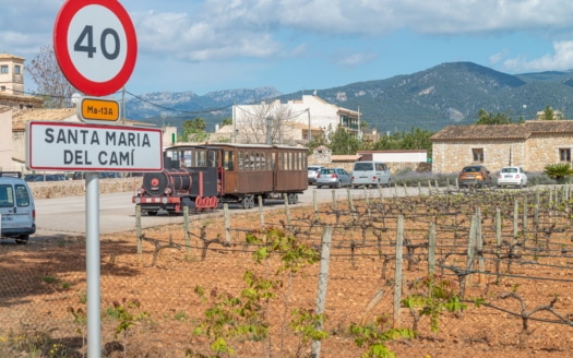 Mallorca Wine Tour
