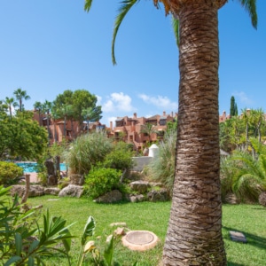 Ferienvermietungsmarkt auf Mallorca