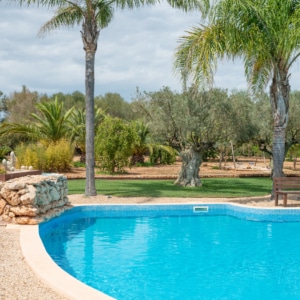 Ferienvermietungsmarkt auf Mallorca