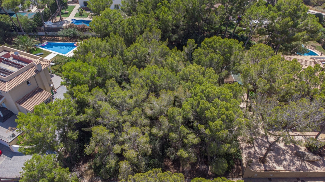 V-3336 Sol de Mallorca