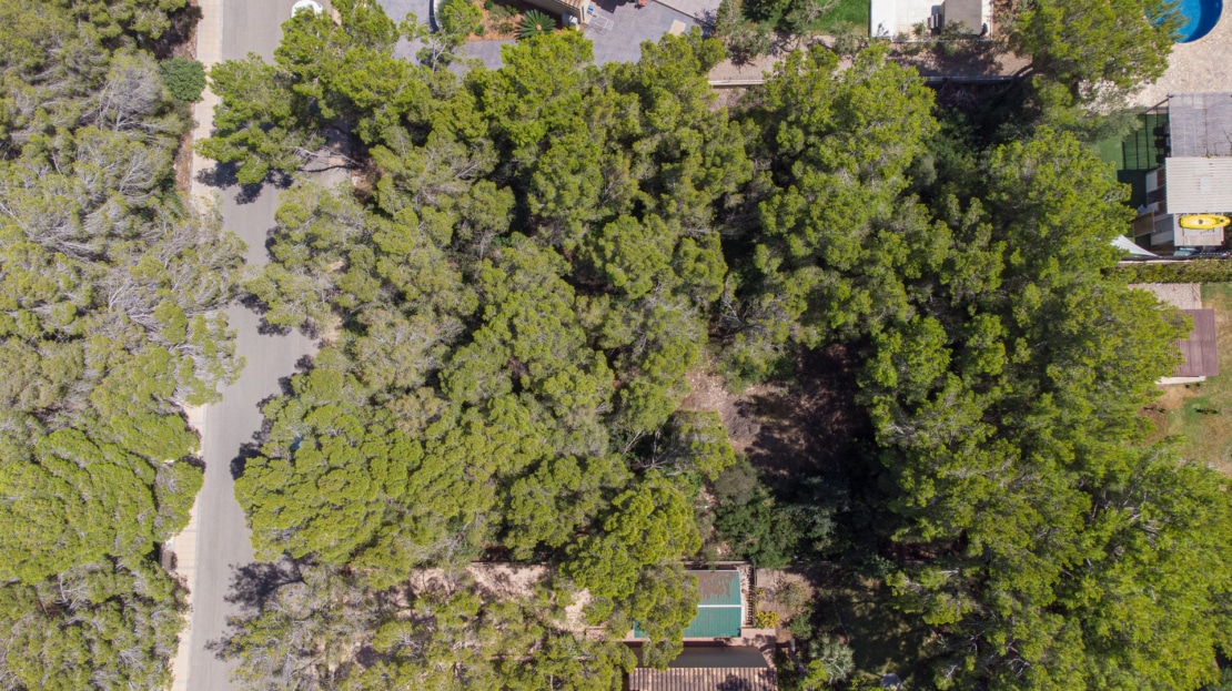 V-3336 Sol de Mallorca