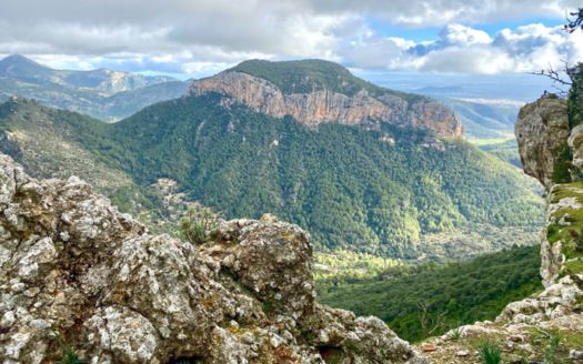 Wandern Balearen,Es Verger,Castell d’Alaro,Pilgerpfaden
