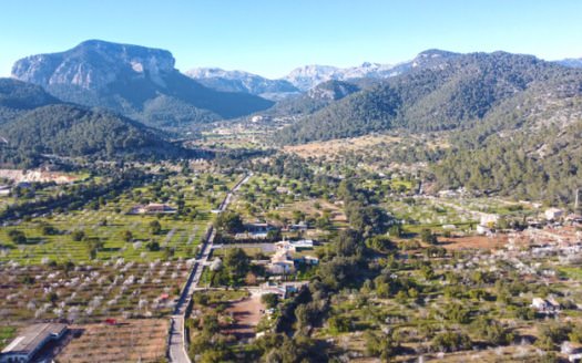 Corona Lage,Mandelblüte,spanische Lebensfreude