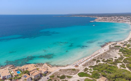 Tripadvisor Mallorca,Palma Stadt,Traveler`s Choice Mallorca