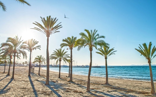 immobilien mallorca real estate immobilien andratx immobilien santa ponsa immobilien palma mallorca private property mallorca