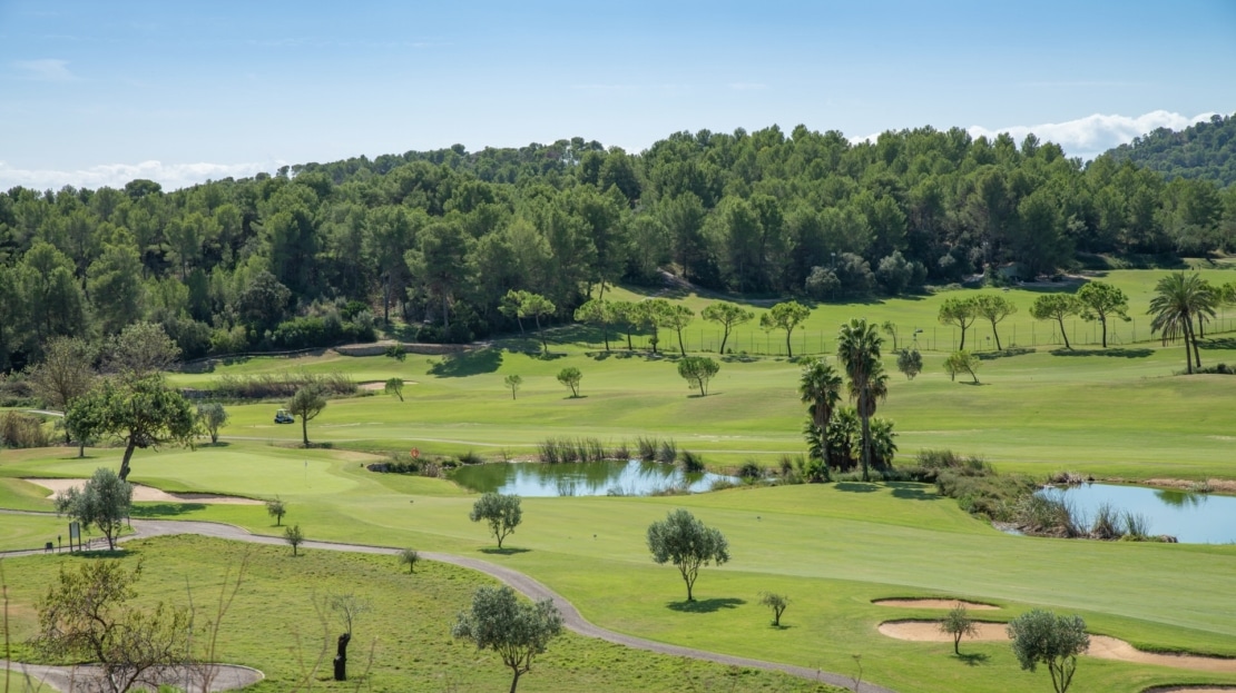 4987 INVESTITION! Grundstück in Son Vida in Ruhelage & herrlichem Blick auf das Meer und die Bucht von Palma 3