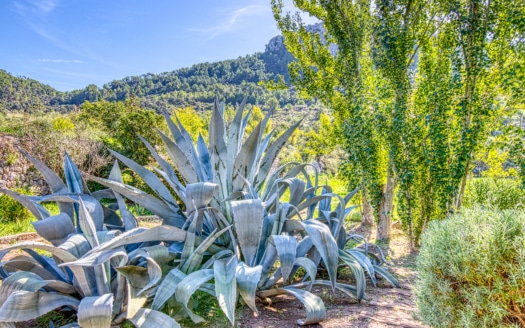 4938 Country house on large plot near Esporles with pool and stunning mountain views 2