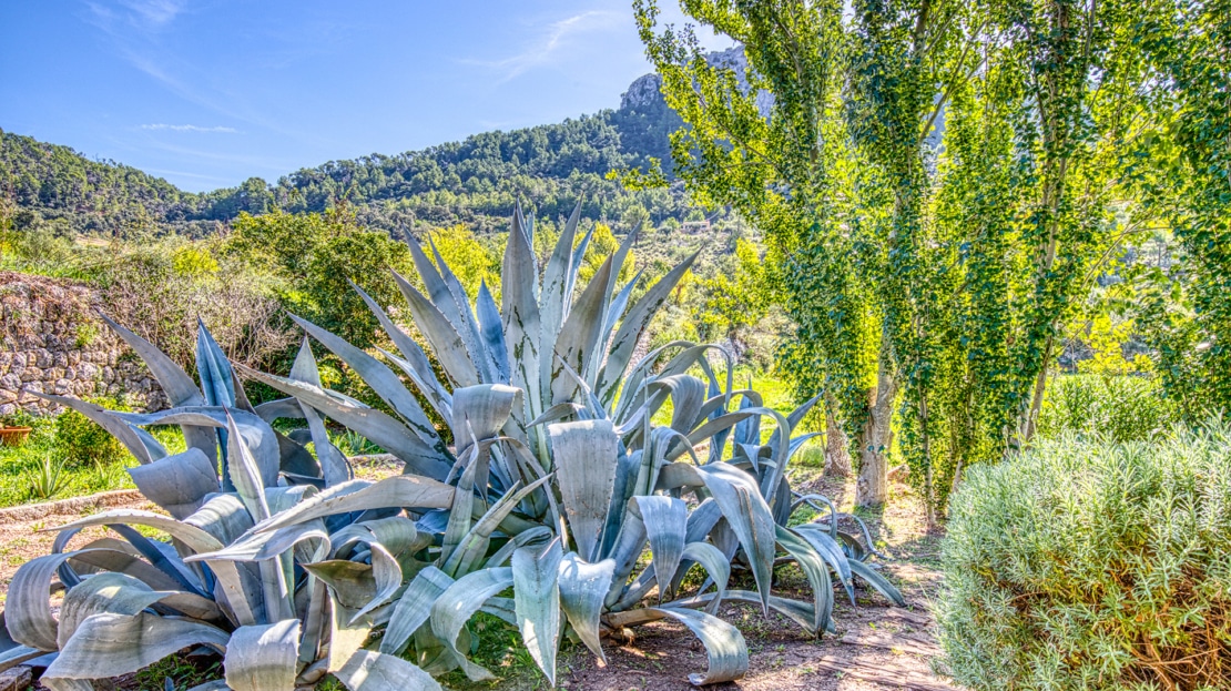 4938 Country house on large plot near Esporles with pool and stunning mountain v