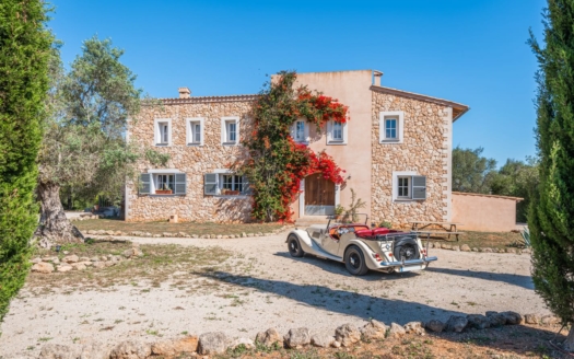 5256 Finca Algaida15