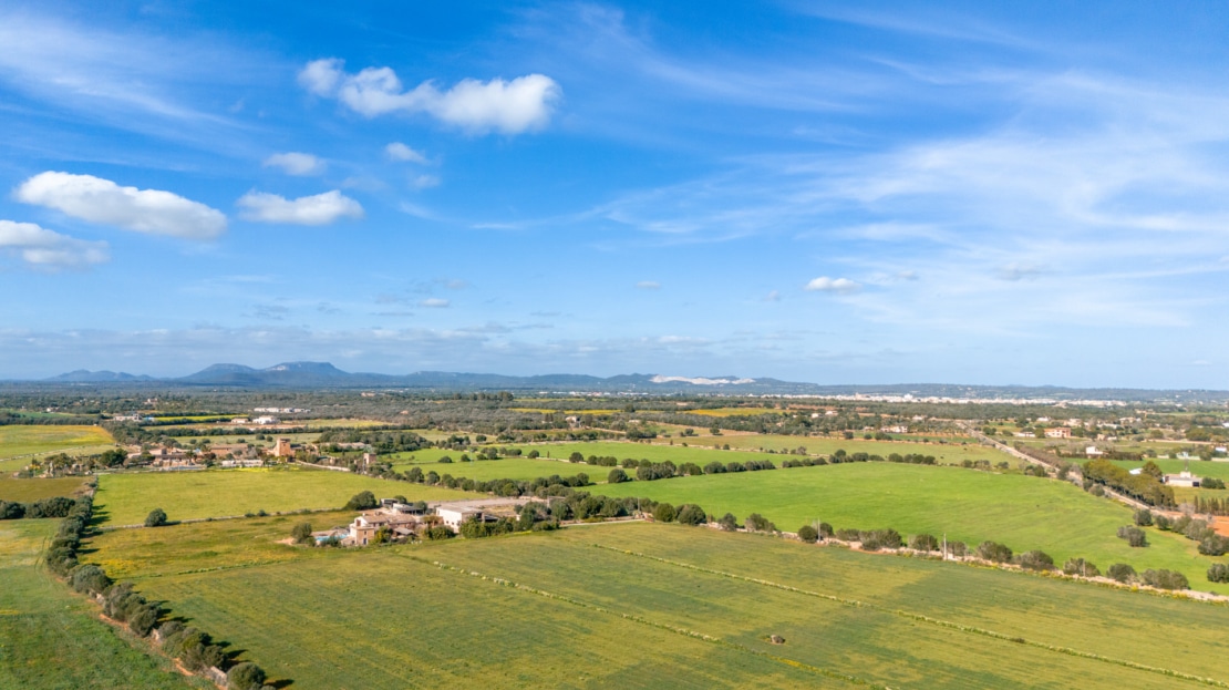 5208 Naturstein-Finca in Campos mit Weingut und einzigartigem Charme