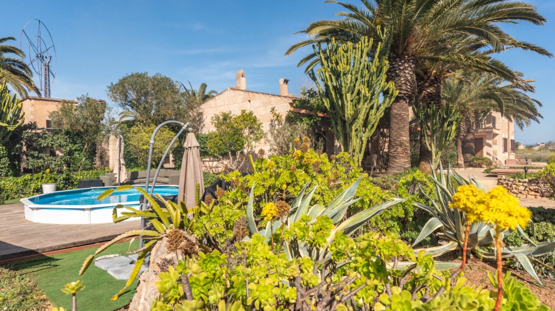 5208 Naturstein-Finca in Campos mit Weingut und einzigartigem Charme