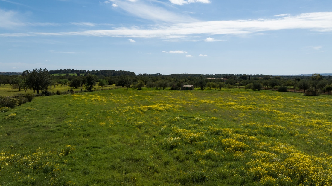 5299 Villa in Alaró1