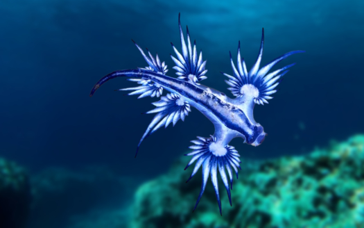 Immobile auf Mallorca - Immobilieninvestitionen auf Mallorca - Private Property Mallorca