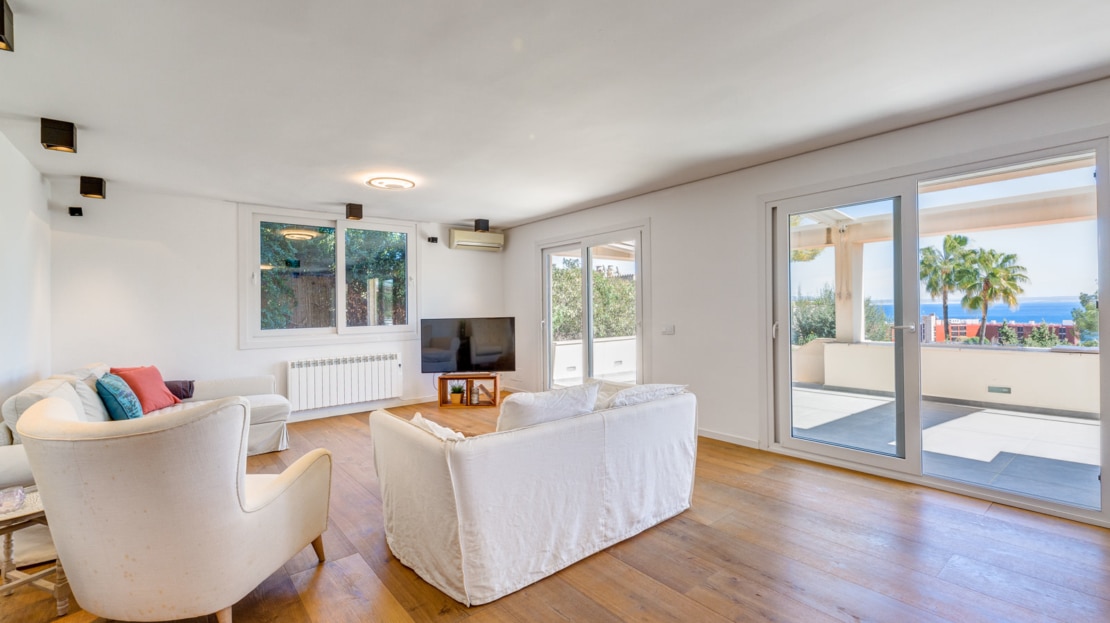 4894-43 Cas Catala10