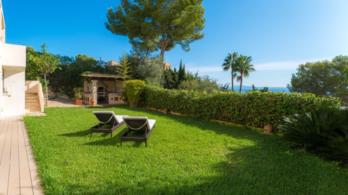 4894-43 Cas Catala19