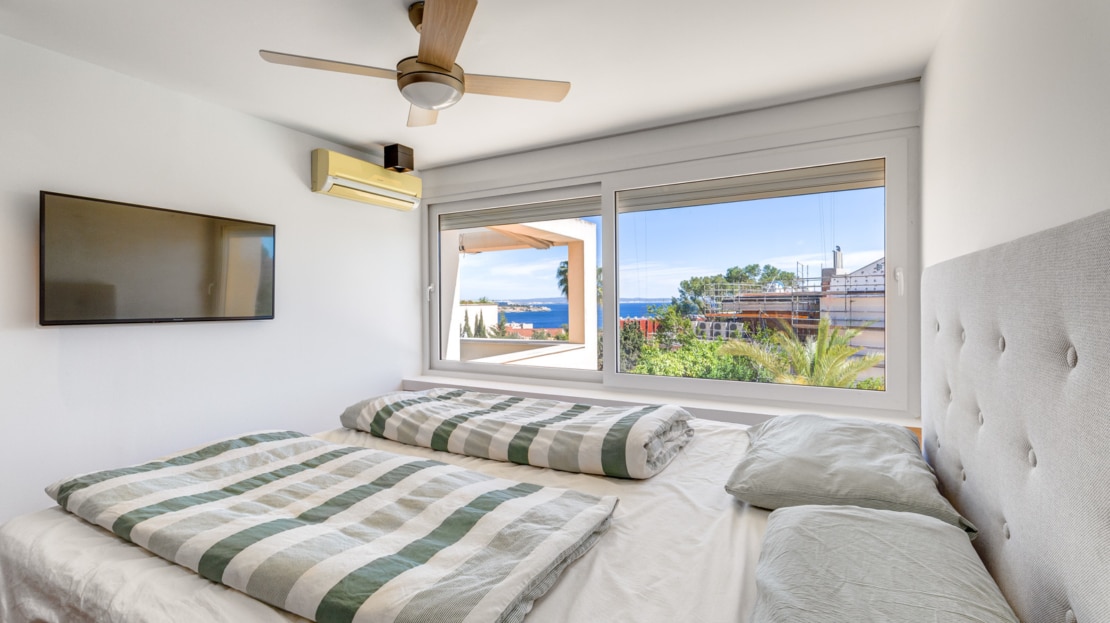 4894-43 Cas Catala13