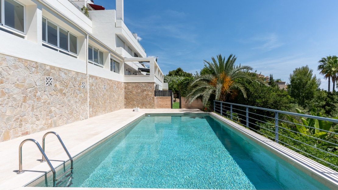 4894-43 Cas Catala20