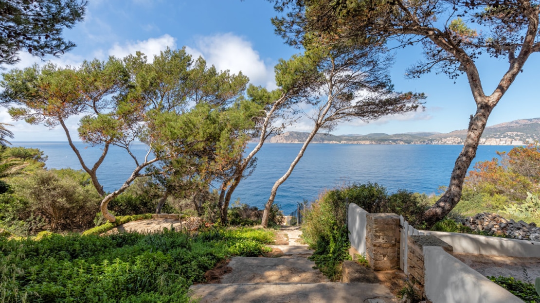 5289 Penthouse Santa Ponsa 39