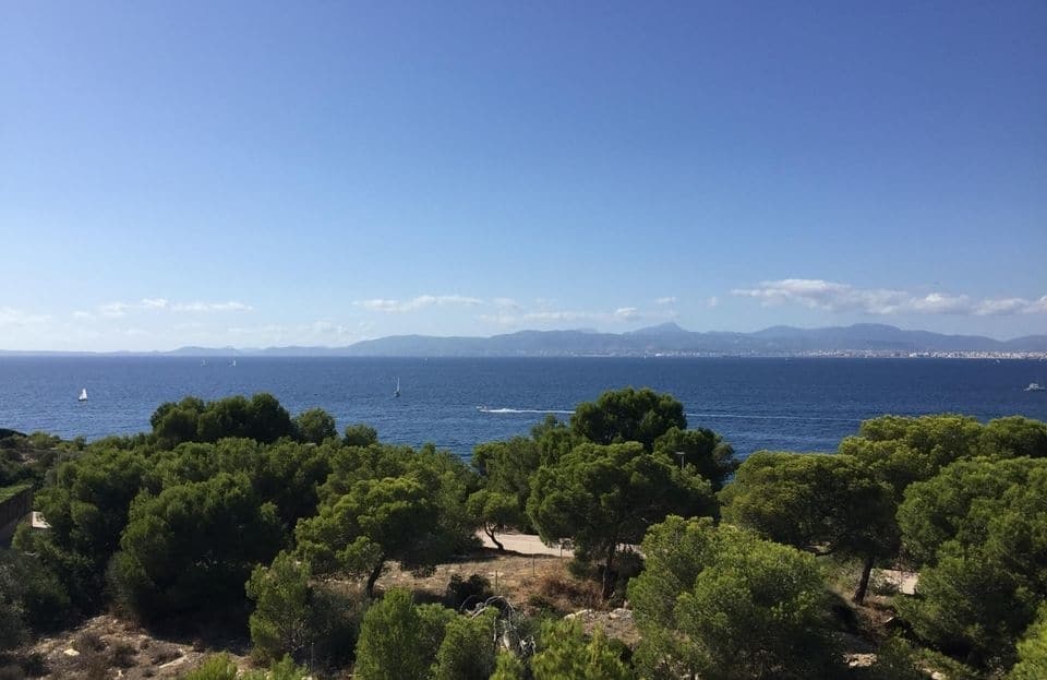 TV-3857 Son Veri Nou