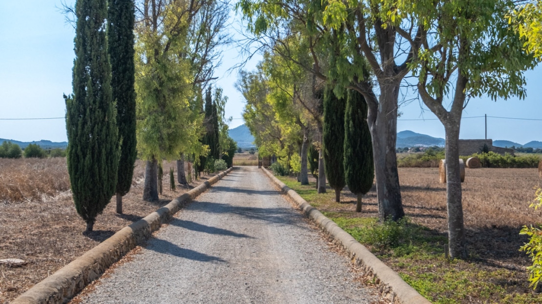 5381 - Finca in Felanitx1