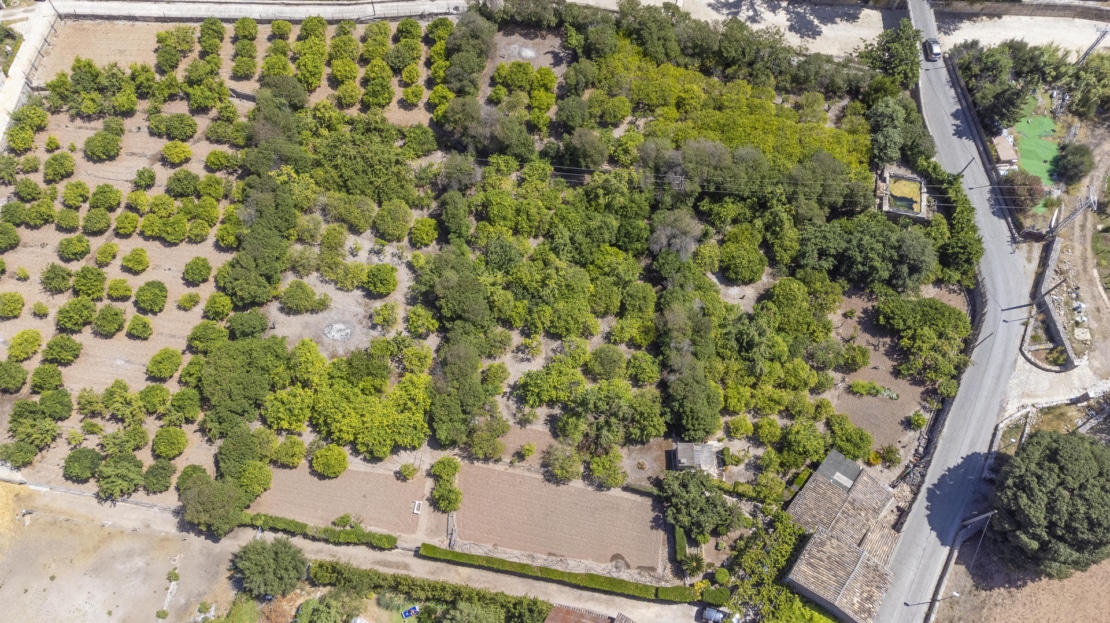 IF-4755 INVESTITION! Finca auf großem Grundstück mit Obstbäumen und viel Potenzial in Soller