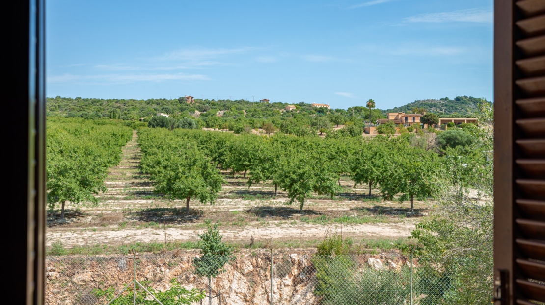 F-1311, San Lorenzo8