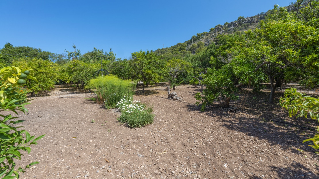 IF-4755 INVESTITION! Finca auf großem Grundstück mit Obstbäumen und viel Potenzial in Soller