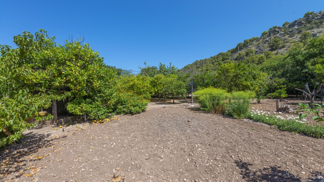 IF-4755 INVESTITION! Finca auf großem Grundstück mit Obstbäumen und viel Potenzial in Soller