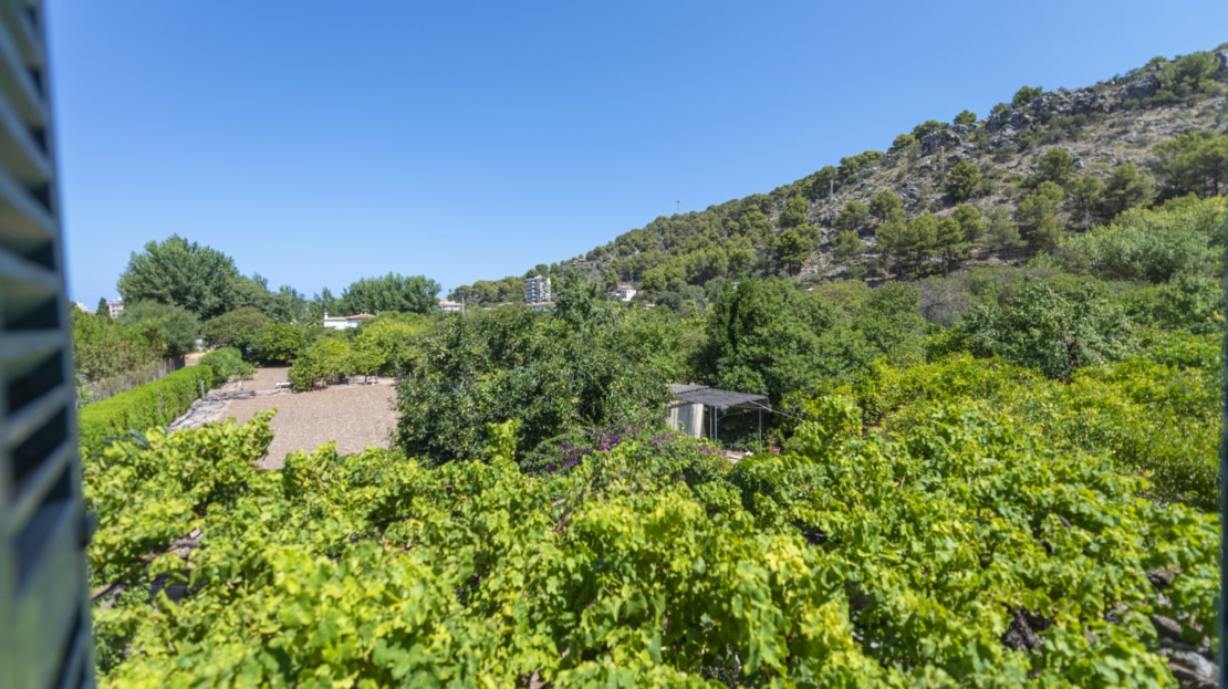 IF-4755 INVESTITION! Finca auf großem Grundstück mit Obstbäumen und viel Potenzial in Soller