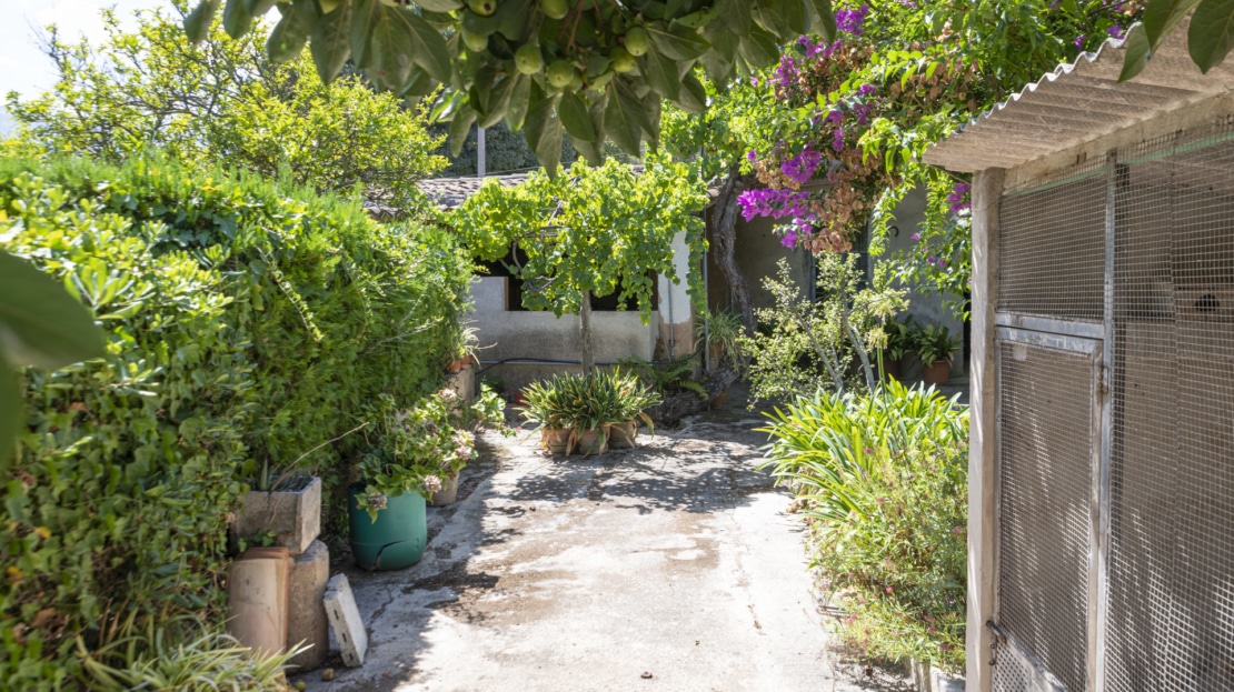 IF-4755 INVESTITION! Finca auf großem Grundstück mit Obstbäumen und viel Potenzial in Soller