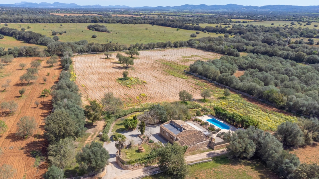 F-4545 Finca in Porreres mit Ferienvermietungslizenz, Privatsphäre UND eigenem Weinberg