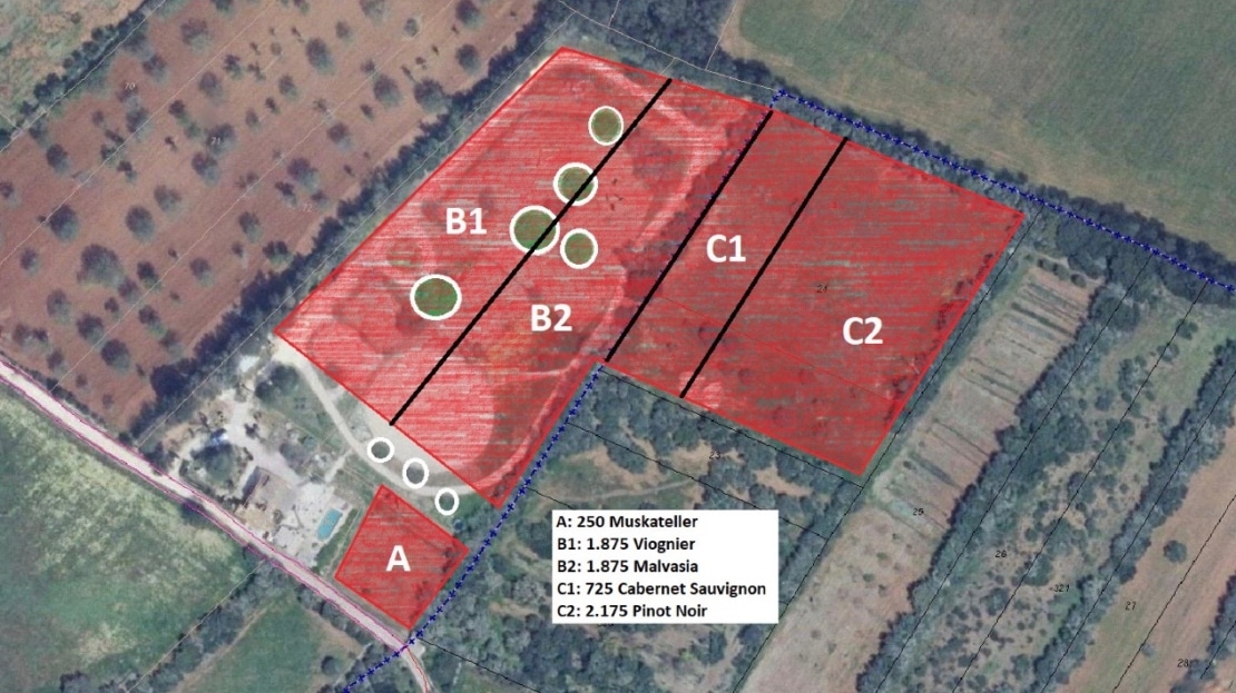 F-4545 Finca in Porreres mit Ferienvermietungslizenz, Privatsphäre UND eigenem Weinberg