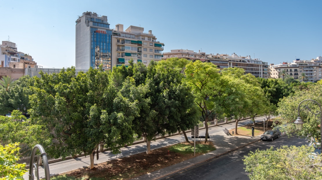 5297 - Apartment Paseo Mallorca15